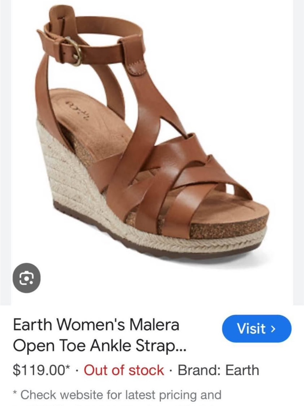Earth Women's Malera Wedge Sandal in Brown